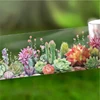 PET Tape Mountain Wild Flower Realm Series Flower Stone Landscape Outdoor Hand Account Collage Material DIY Decoration Card Gift 2