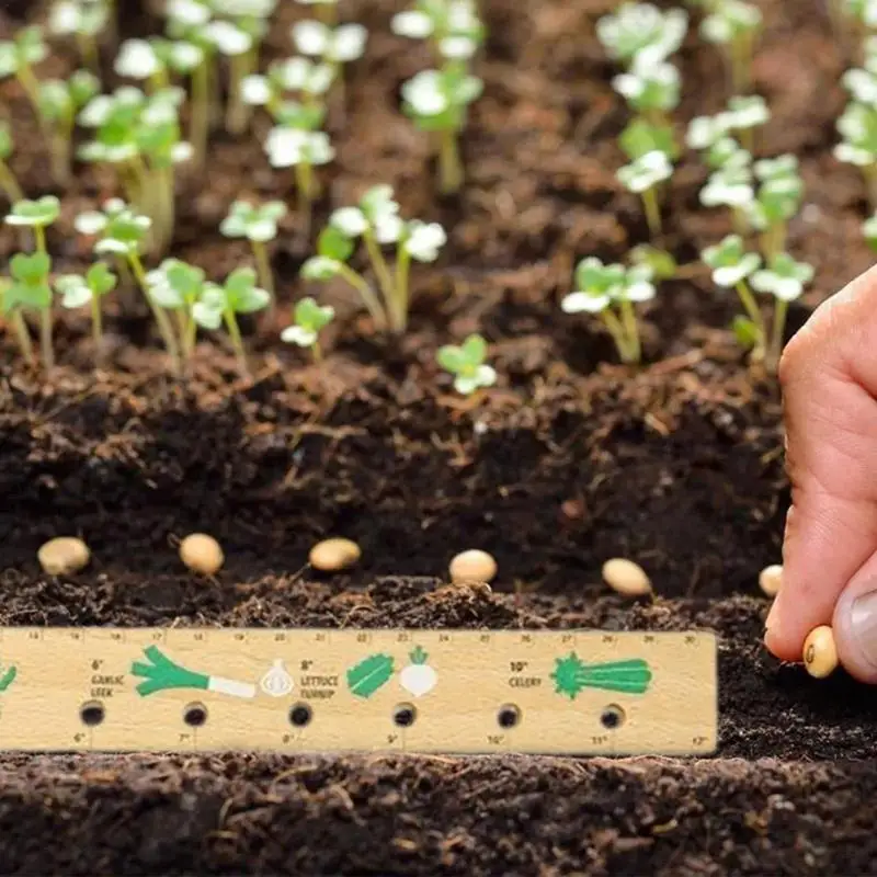 https://ae01.alicdn.com/kf/Scc3d7e0184084b3db4e97a371ecdee2dr/Seedling-Spacer-Tool-Gardening-Tools-Seed-Spacing-Template-Vegetable-Fruit-Planting-Board-for-Garden-Raised-Bed.jpg