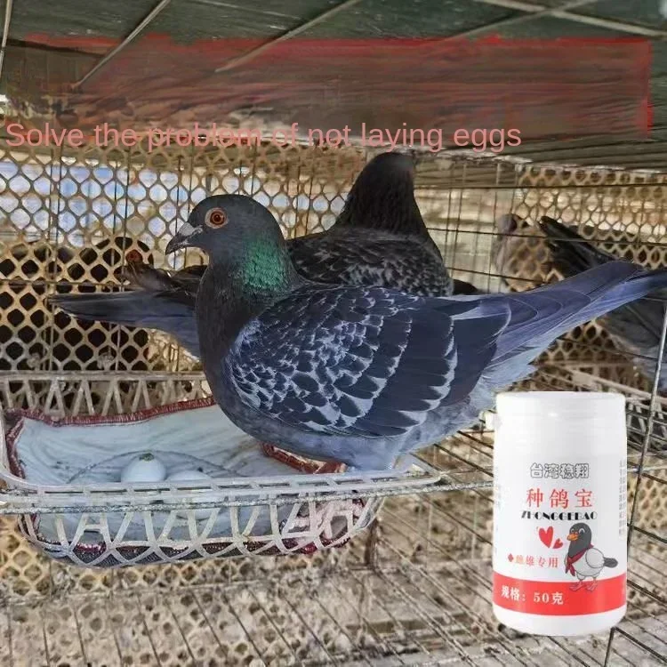 Breeding pigeon treasure 50g female pigeon Male pigeon increase fertilization improve egg health parrot universal 2