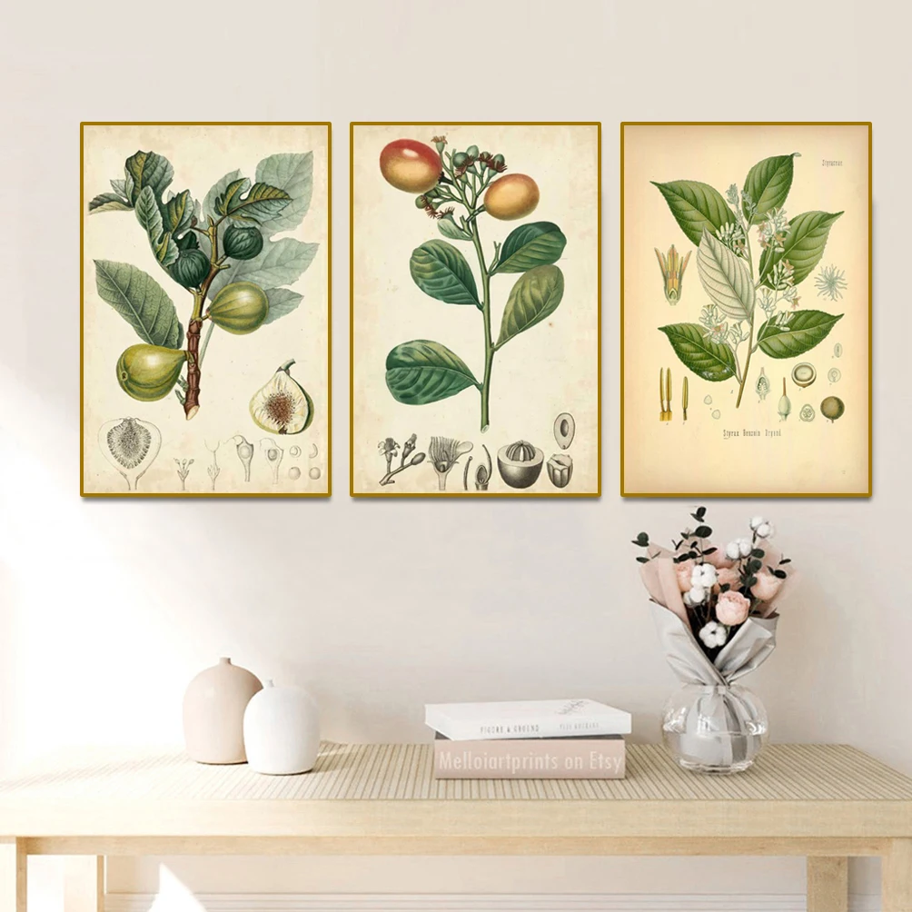 Original ecological plant hand-painted anatomy teaching diagram apple flowers introduction diagram decorative painting