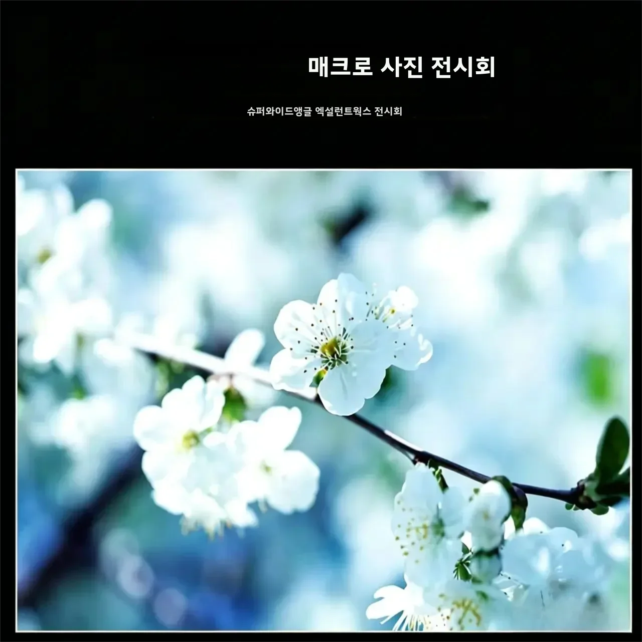 범용 0.45X 카메라, 캠코더 37mm 전면 조리개 49mm 나사식 인터페이스 45x 초광각 2-in-1 결합 렌즈 와이드