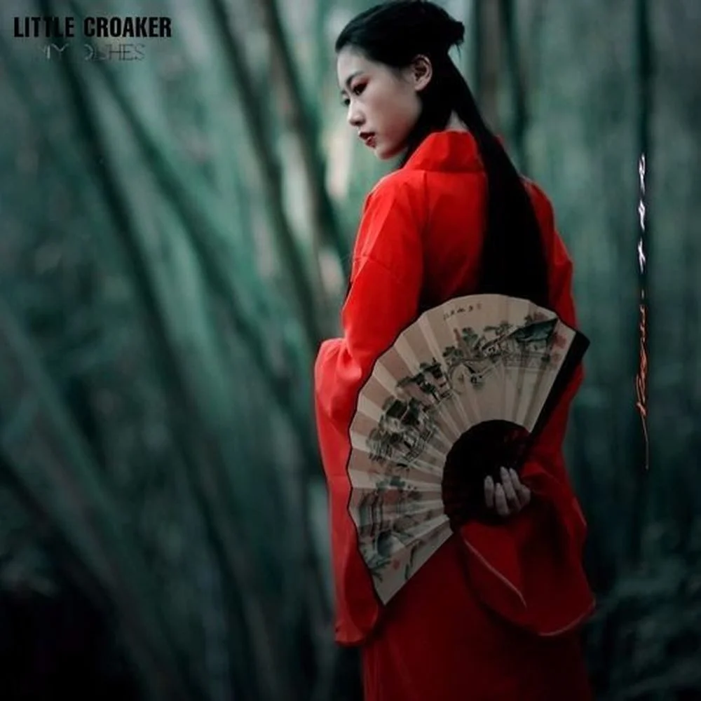 2022 Hanfu Coat Chinese Style Traditional Daily Hanfu Pure Han Tang Ancient Women Chiffon Cardigan Chinese Clothes for Women