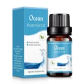 Ocean 1pcs