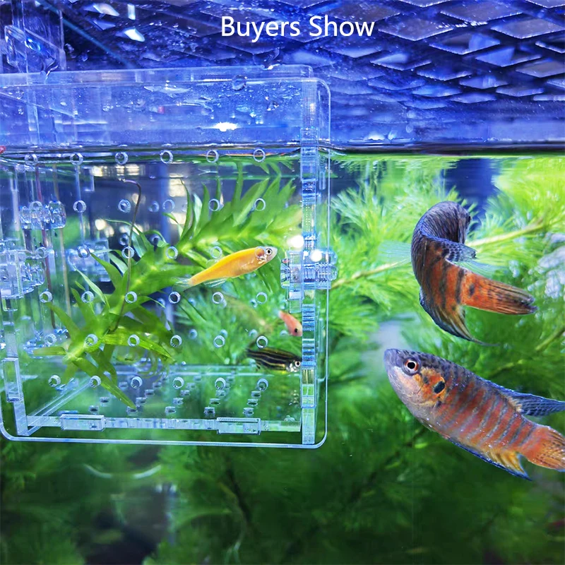 thumbnail image 2 of Baby Aquarium Acrylic Fish Breeding Box - 3.9 Inch Square Aquarium Nursery Isolation Tank With Suction Cups Aquarium Isolation Tank 2 of 11