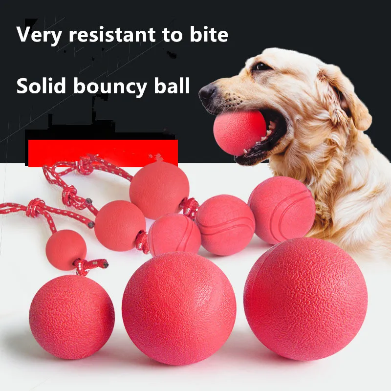Pet Dog Toy Ball Solid BiteResistant Chewing Indestructible Bouncing