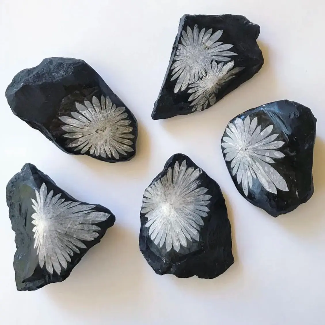 

1pc Natural Crystal Quartz Chrysanthemum Energy Reiki Stones Specimen Home Office Aquarium Decoration Accessories Gemstone