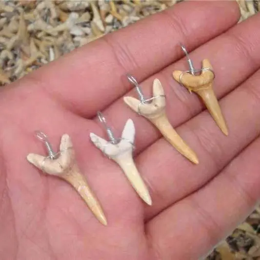 Hot Sale A++ Natural tooth reliquiae pendant energy apotropaic 1g-3g/ lot+ free rope Unique Necklace 3
