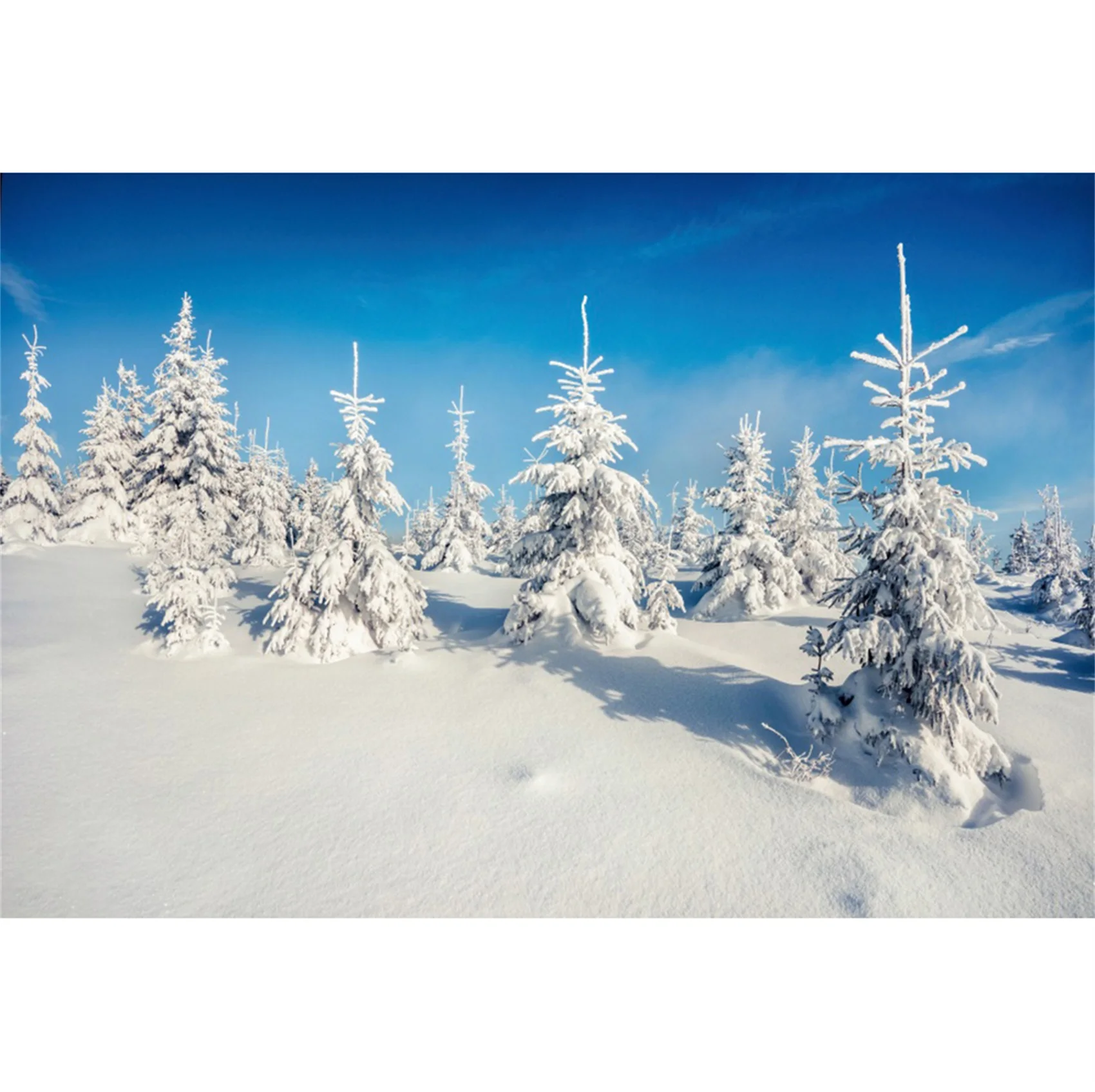 thumbnail image 1 of Fondos fotográficos con escena de nieve y árboles en el bosque invernal de Yeele para sesión fotográfica, decoración, fondos fotográficos para estudio fotográfico, 1 of 5