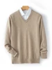 Classic 100% Cashmere Sweater Men V-neck Basic Pullovers Spring Autumn Winter Warm Comfy Cashmere Knitwear High Quality Tops ﻿ 2