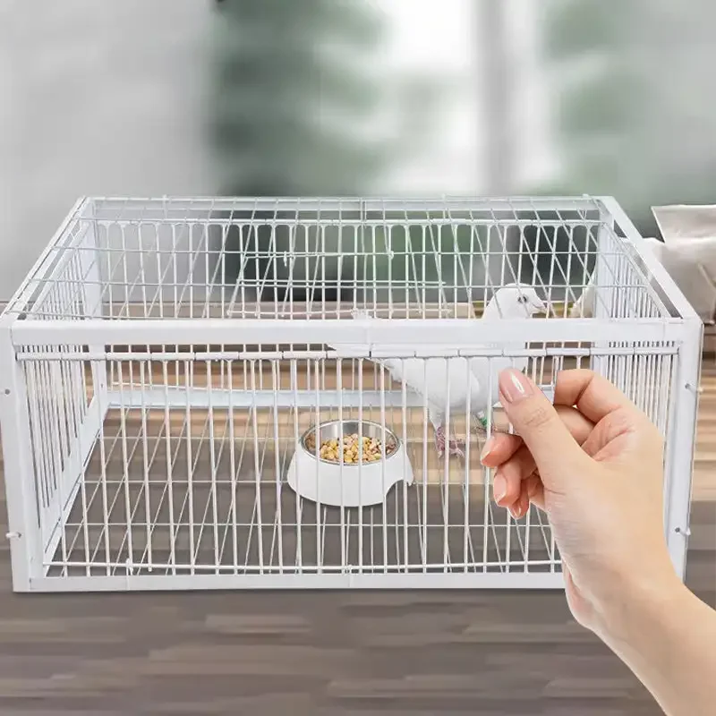New Auto Trap Bird Cage Rabbit Cage Mouse Entry Only and No Exit Thickened and Encrypted Automatic Pigeon Collecting Tool