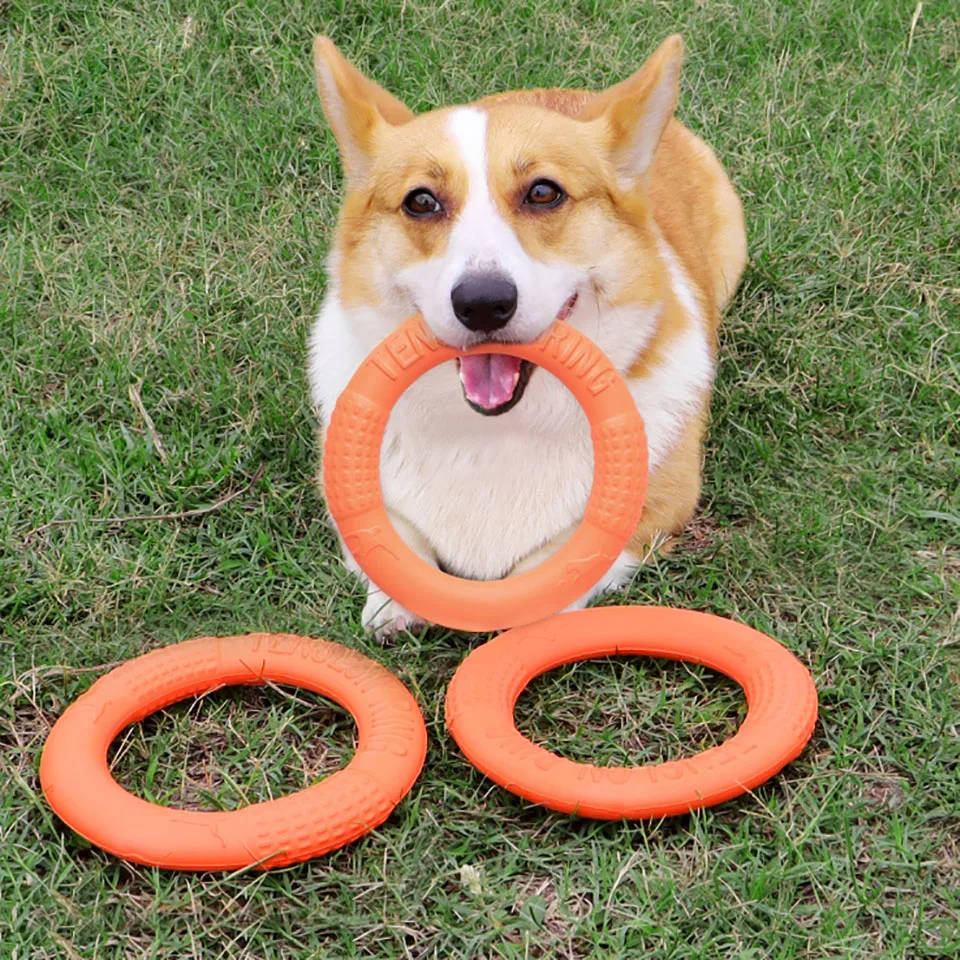 

Dog Toy Bite-resistant Amusing And Boring Artifact Dog Small And Medium-sized Large Dog Circle Interactive Throwing Pet Supplies