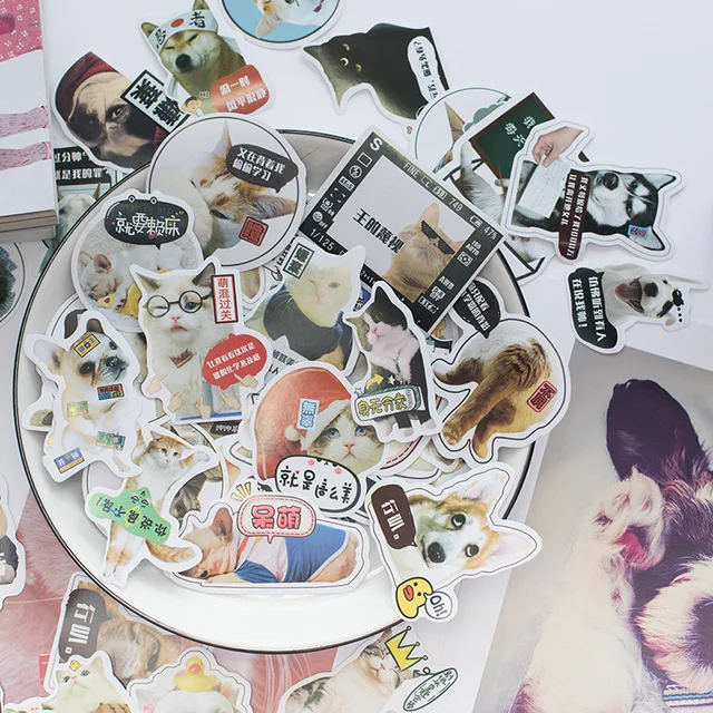 귀여운 감성 애완견 고양이 장식 문구 스티커