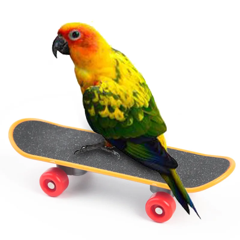 NONOR 1Set Of Training Pet Bird Toy Set Interactive Parrot Equipment Set Funny Bird Activity Toy Pet Basketball Skateboard