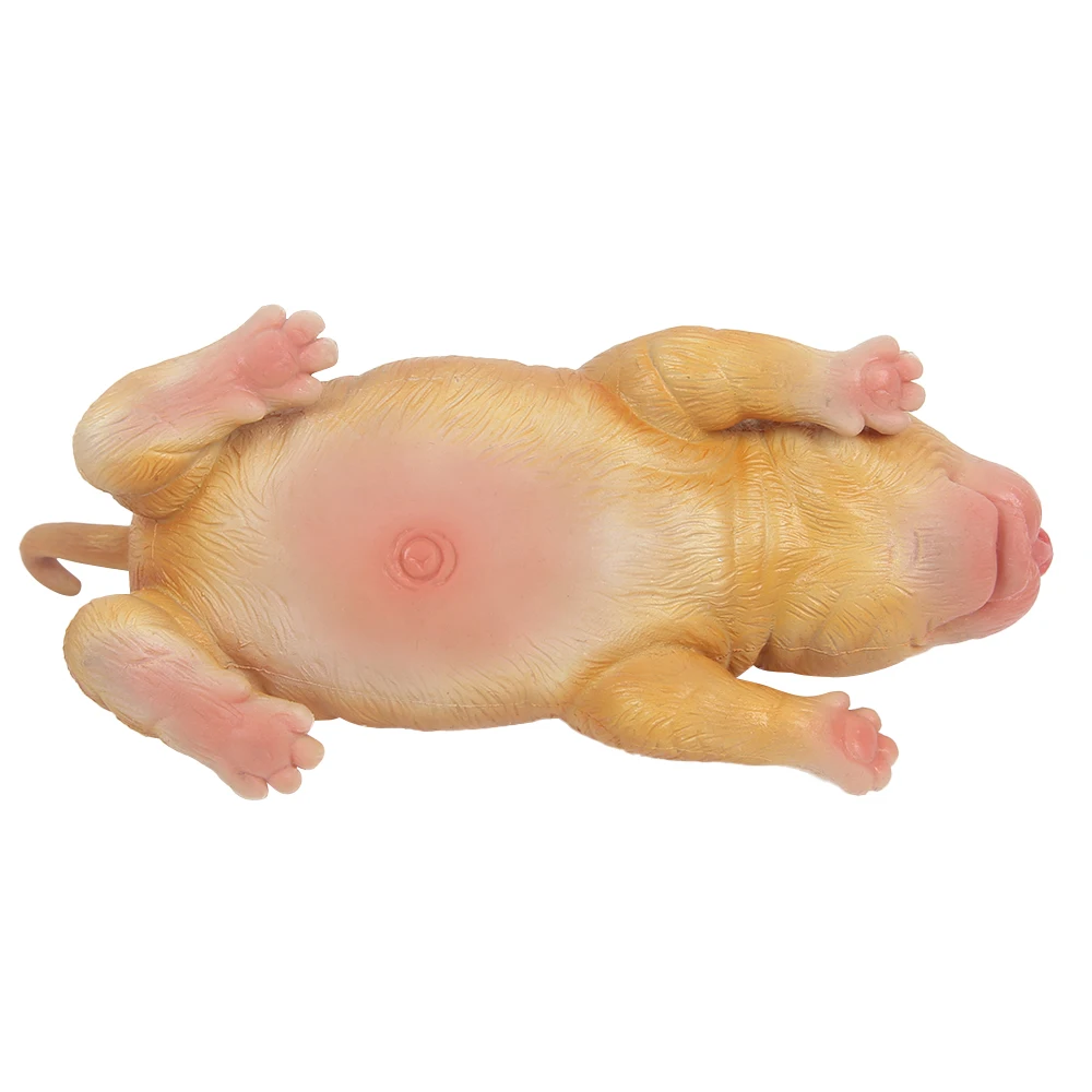 Animales Reborn Perro Reborn De Silicona Juguete Quiero Un BebÃ