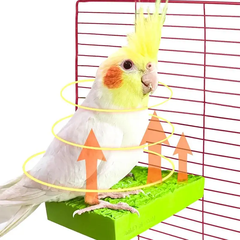 Heated Bird Perch 5W Thermostatic Flat Bird Heater for Cage Safe Perch Stand Warmer for Birds Parrots Hamsters