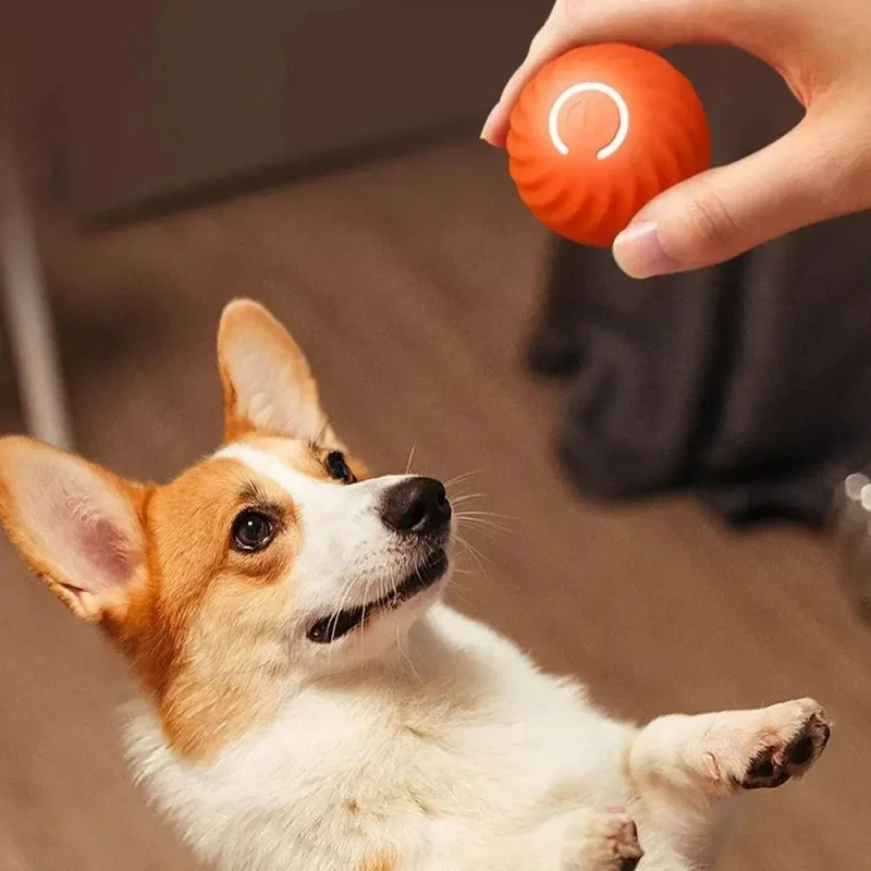Video su Qual è Giocattoli interattivi per cani che distribuiscono bocconcini, resistenti ai morsi e a lento rilascio Video su Qual è Giocattoli interattivi per cani che distribuiscono bocconcini, resistenti ai morsi e a lento rilascio