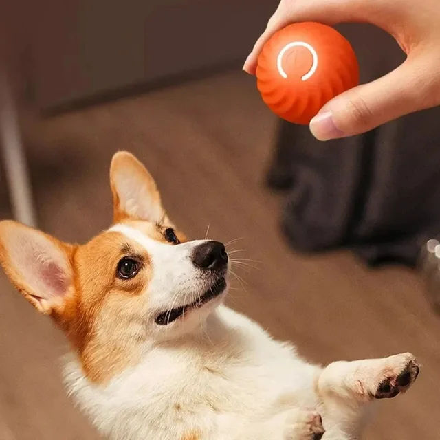 Dog Toy Ball Automatic Moving Bouncing Rolling Ball USB Smart puppy Interactive Dog Chew Toy Ball 5