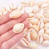 40pcs Natural Sea Shells Craft Shell Charms Beach Seashells Summer Beach Bracelet Necklace Jewelry DIY Craft Making Vase Filler 4