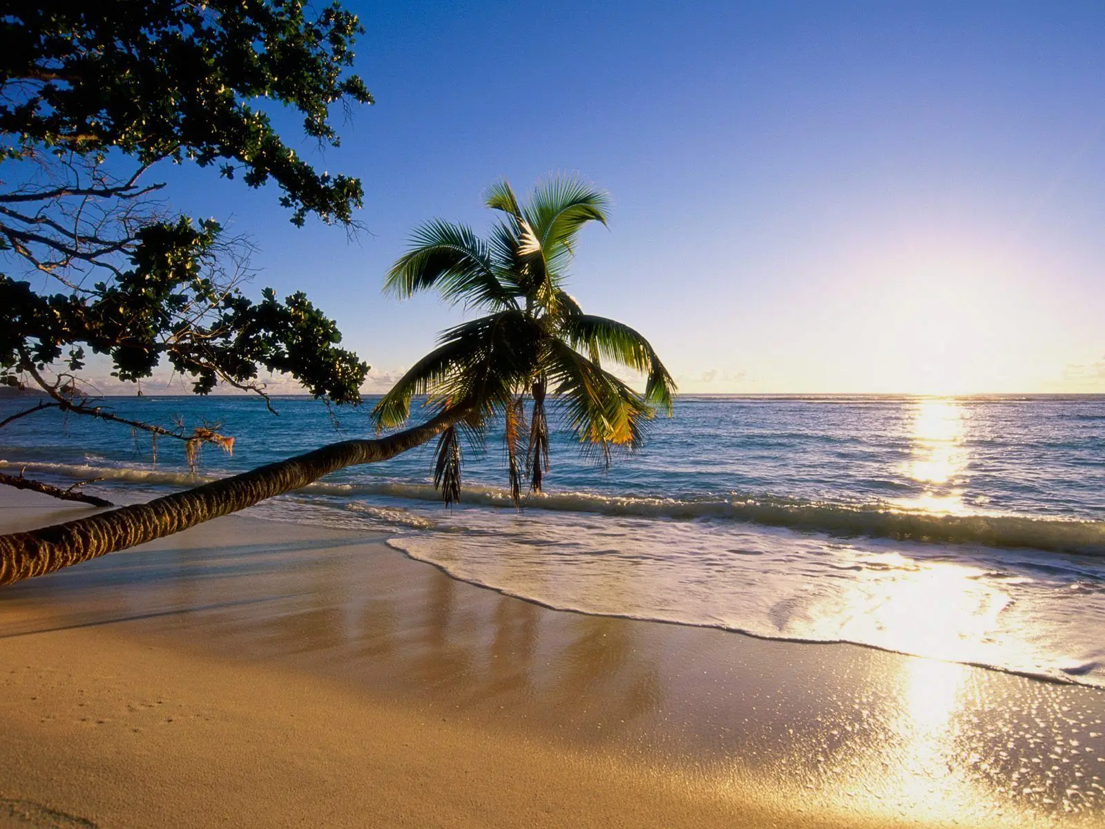 

Beautiful Beach tropical Art Picture Print Silk Poster Home Wall Decor