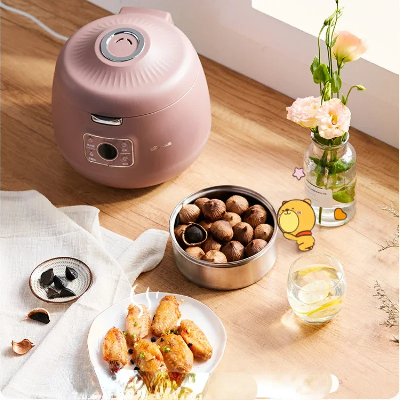 Black Garlic Fermenting Machine Intelligent Large Capacity Automatic for Homemade Single-Petal Black Garlic