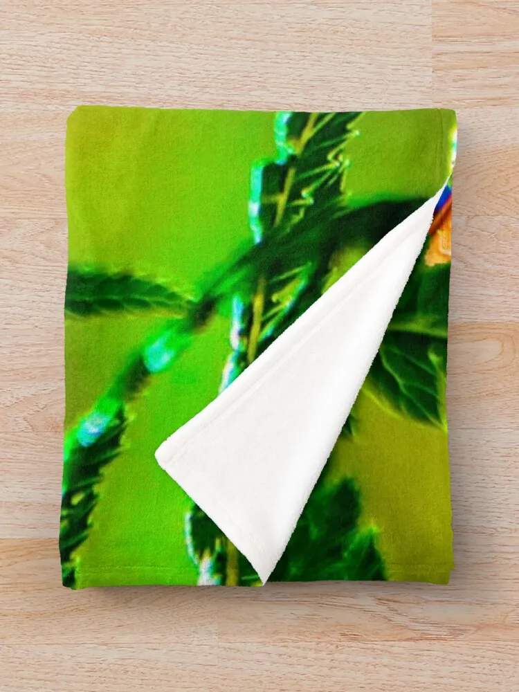 ���� ���� �ǵ���-�ƹ�Ÿ-Neytiri ���, ǫ���� ���� �ö��� ����Ŷ ����Ŷ