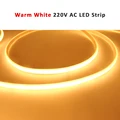 2Pin Wire