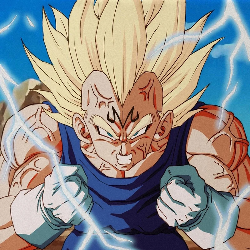 Scc6233d7e0b64243843bc3647b698fe8T - DBZ Shop