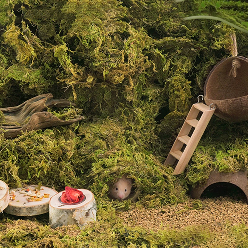 SmallPetCageDecorationHamsterNaturalMossBeddingChinchillas