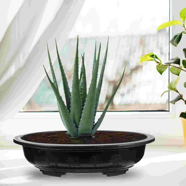 Flower pot oval for indoor and outdoor use