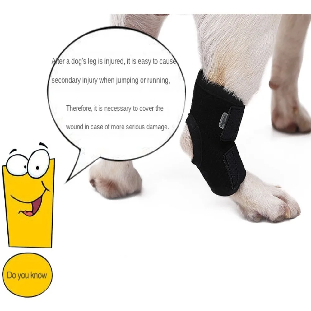 Title 14, Pet Knee Pads Dog Support Brace for Leg Hock Jo...