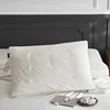Mulberry Silk Pillows For Sleeping Natural Silk Filling Pearl Protein Fabric Anti Mite Health Care Bedding Hotel Neck Pillows 2