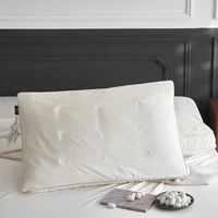 Mulberry Silk Pillows For Sleeping Natural Silk Filling Pearl Protein Fabric Anti Mite Health Care Bedding Hotel Neck Pillows 2