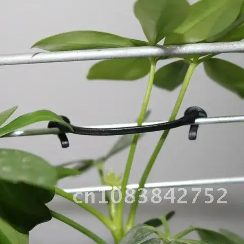 

Plant Agricultural Buckle Fixed Lashing Hook Vines Tied Greenhouse Garden Flower Tie for Garden Tools 2000 Pcs