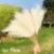 70-120cm Artificial Pampas Grass Branch Fake Bulrush Fake Plant Flowers Reed Pantas Wedding Party Home Decoration DIY Bouquet 26