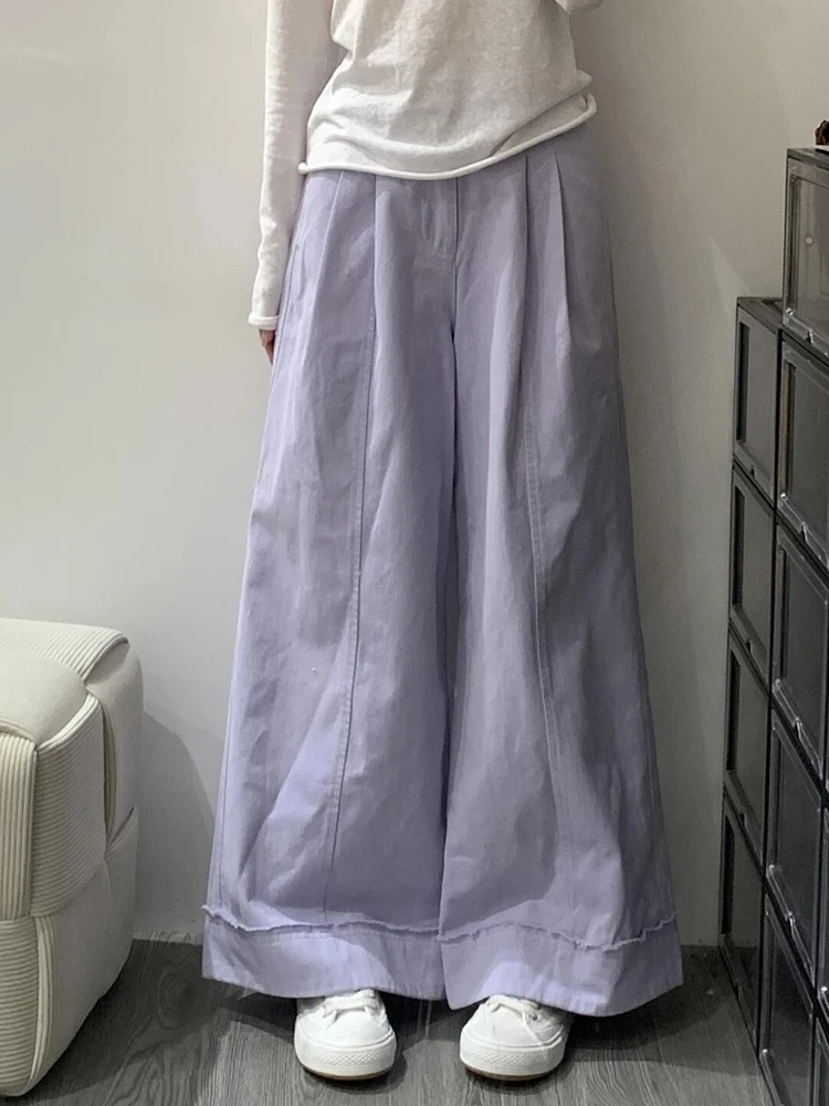 Aoaiiys Purple Jeans Women Fashion Casual Loose Trousers High Waisted Pleated Wide Leg Pants 2026 Spring Autumn New Female Jeans, view 6
