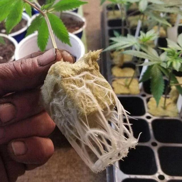 50Db Szellőztető Hidroponikus Termesztés Mezőgazdasági Média Kompressziós Köpenyek Szikla Gyapjú Dugójának Legfeljebbi Tenyésztési Szubsztrátja 2,5*2,5*4 Cm - Image 2