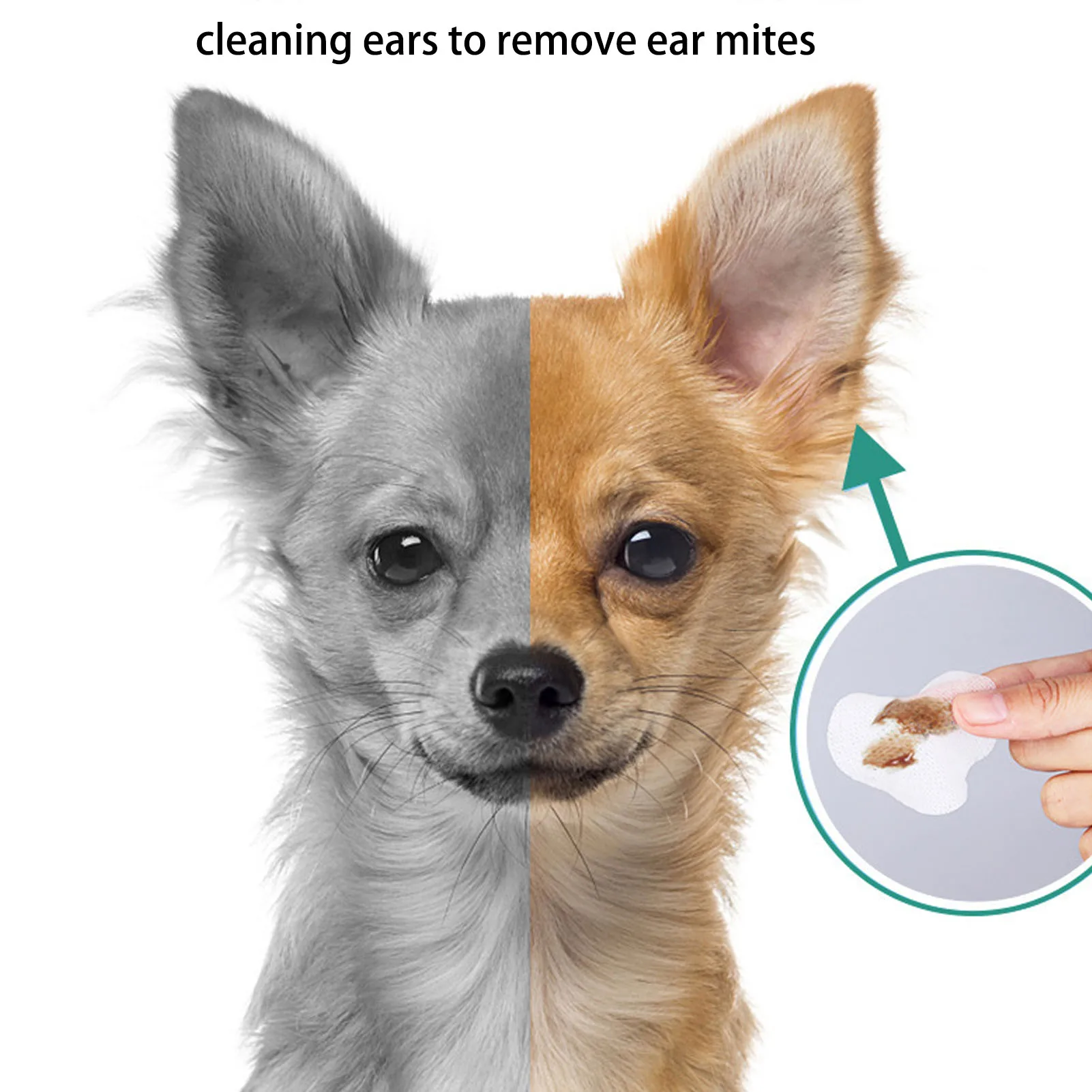 Gentle Moisturizing Tear Stain Removal Pet Hygiene Wipes - 200 Count