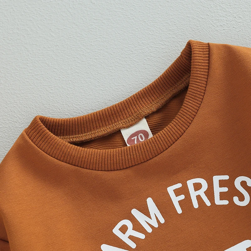 Description Picture 5 of itemBaby Hoodie Long Sleeve Crew Neck Letters Pumpkin Truck Print Sweatshirt Halloween Clothes for Girls Boys