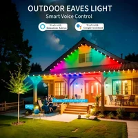 Outdoor Eaves LED light kit 16703IC(WS2812B) RGBIC 30 Pixels Addressable Led string Works With Alexa Google Home Assistant DC24V - Image 3