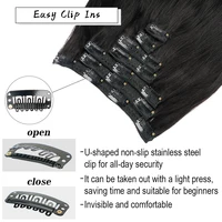 Doreen Série Volume 160G 200G 240G Extensions de Cheveux Humains Brésiliens Remy Lisses à Clipser, Tête Complète 10 Pièces, 14 à 24 Pouces 5