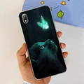 Case-c43