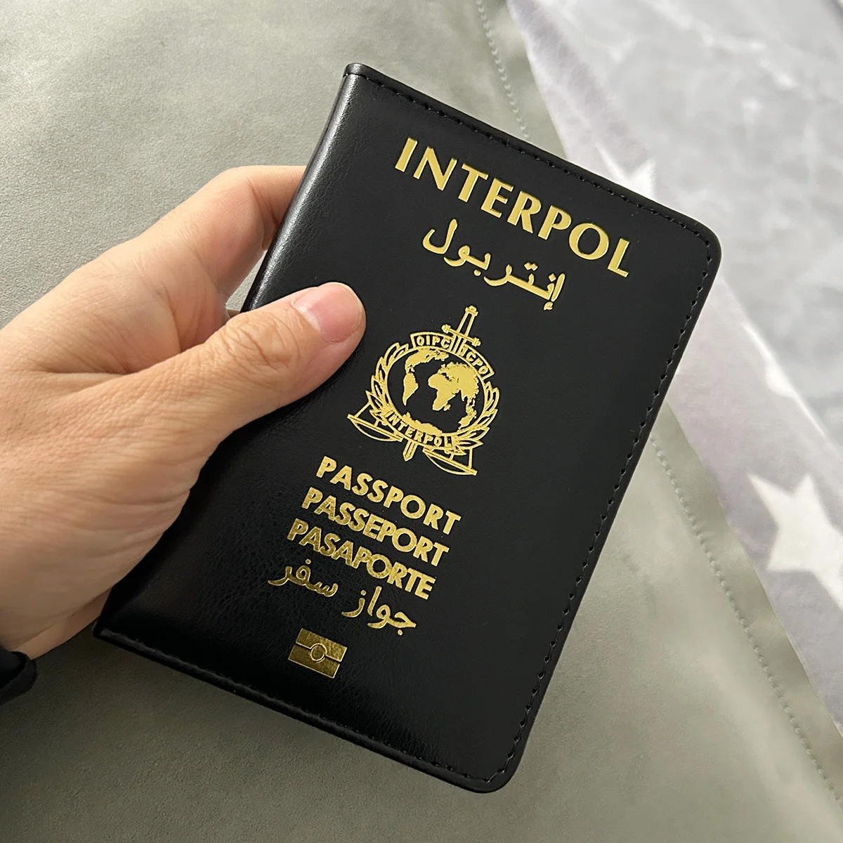 Рисунок 6 - interpol Обложка для паспорта