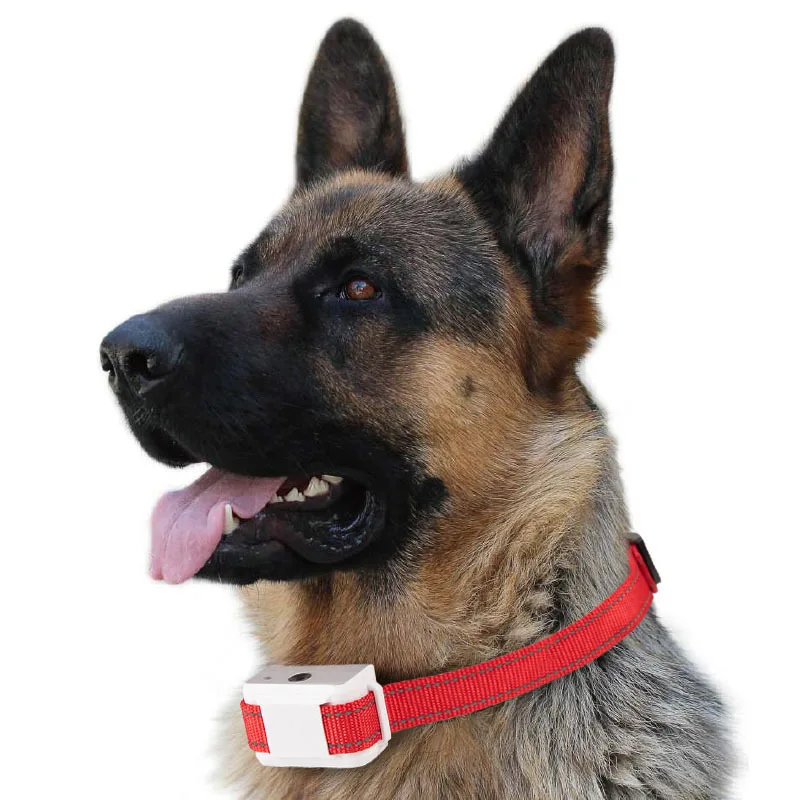 Citronella Bark Collar Pet Dog Spray Training Collar Rechargeable Waterproof Anti Bark No Shock Humane Stop Training
