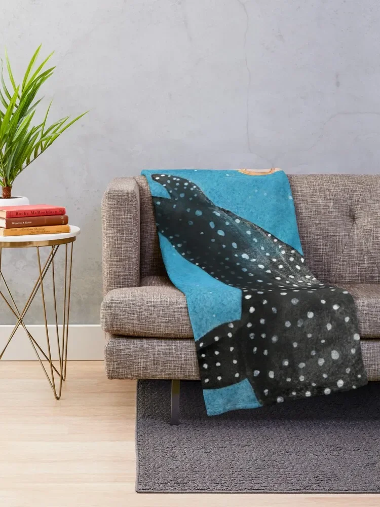 �� ���� ���, ���� ���, ���� ���