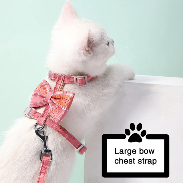 Large Bow Kitten Carrier: The Perfect Accessory for Your Beloved Feline Companion