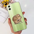 Case-c60