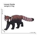Lesser Panda