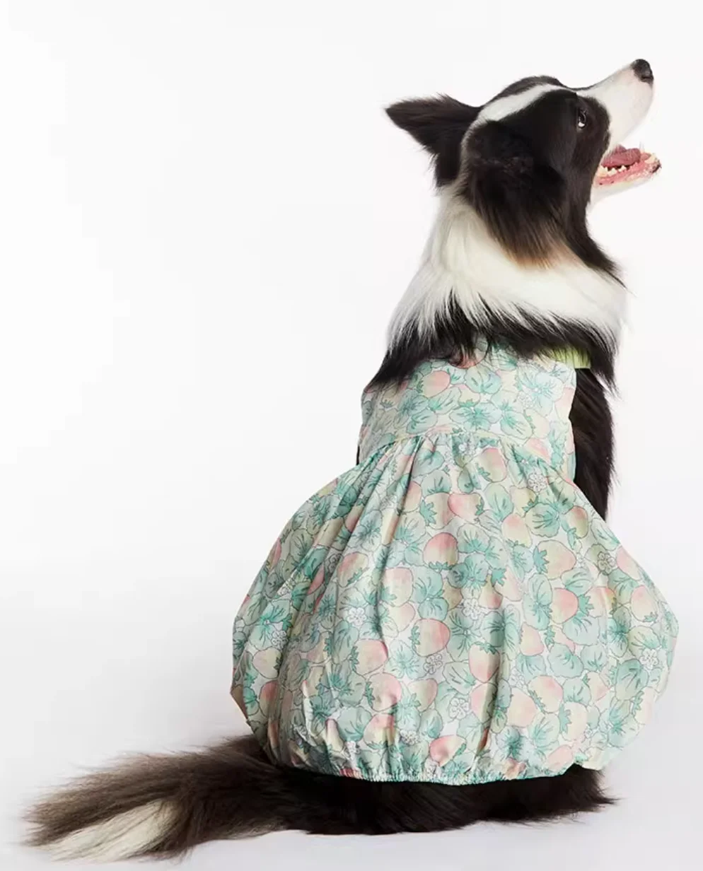 Cute Cat and Dog Clothes, Summer Flower Skirt, Chest Back, Big Dog, Bull Terrier, Grey Dog Clothes