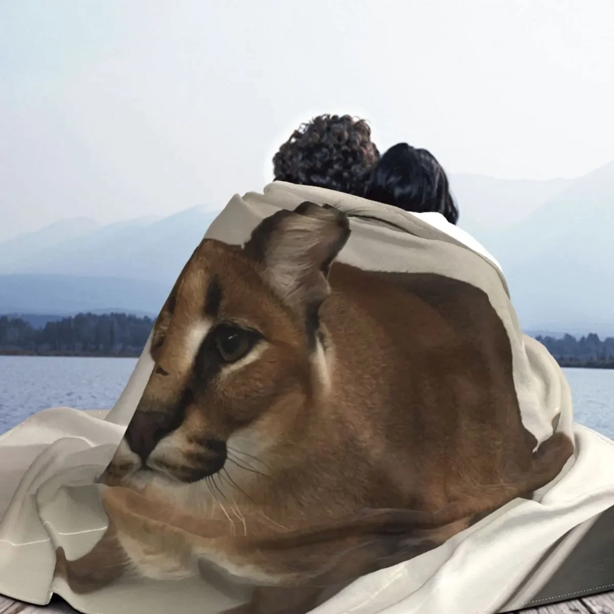 ���� �÷��� ī��Į ������ �Ϳ��� �� ���, ������ �ö��� ��� ���, ����, �ڵ��� ħ�� ħ�뺸, ����ǰ