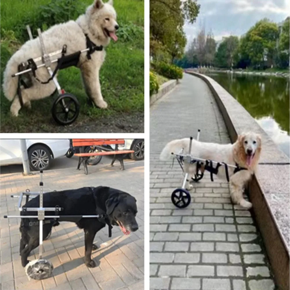 Medium and large dog wheelchair car pet hind limb lumbar paralysis rehabilitation training scooter